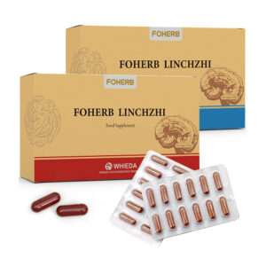 FOHERB Linchzhi Capsules with Ganoderma and Cordyceps for brain and immunity support